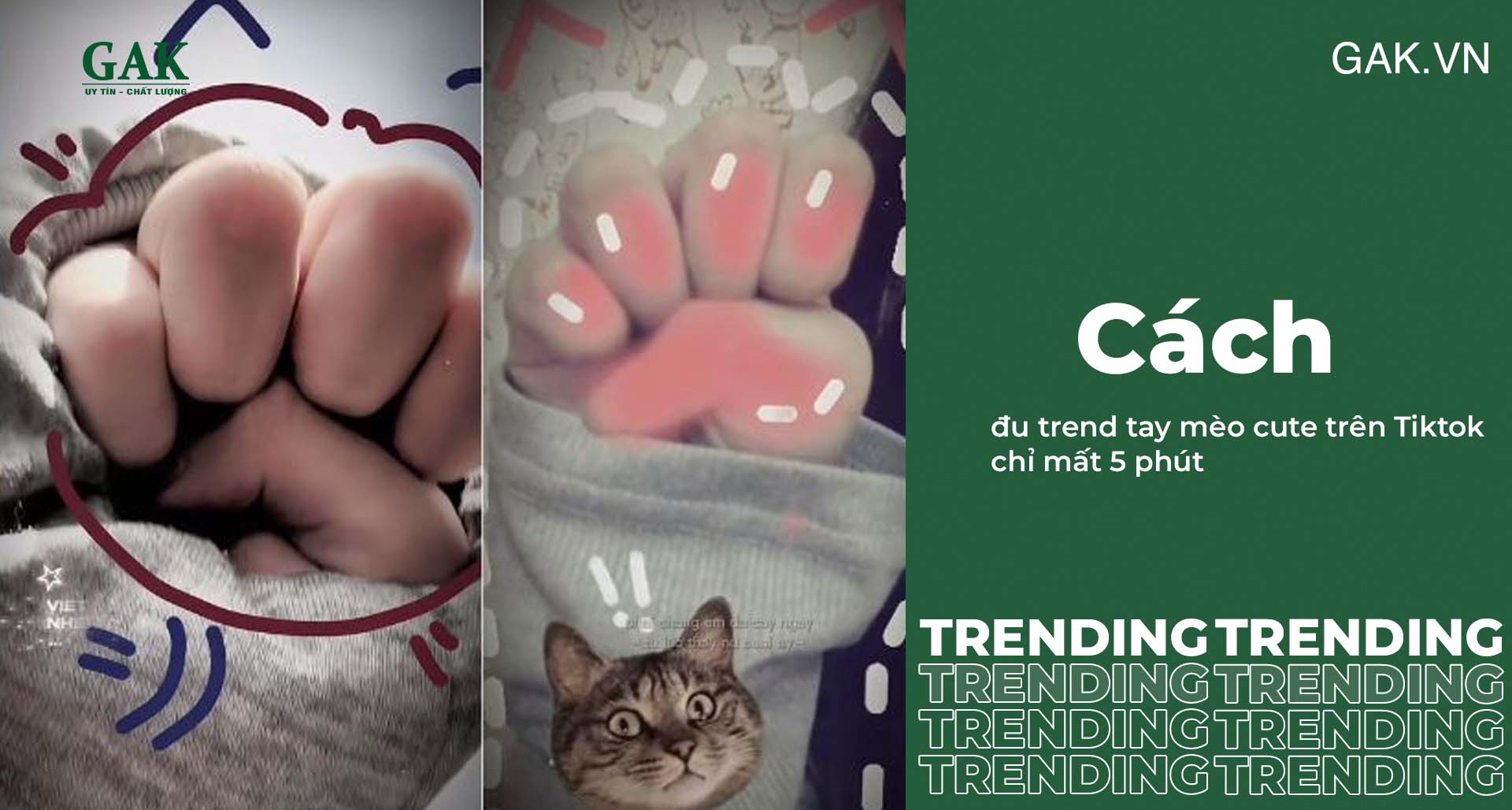 Cách đu trend tay mèo cute trên Tiktok chỉ mất 5 phút
