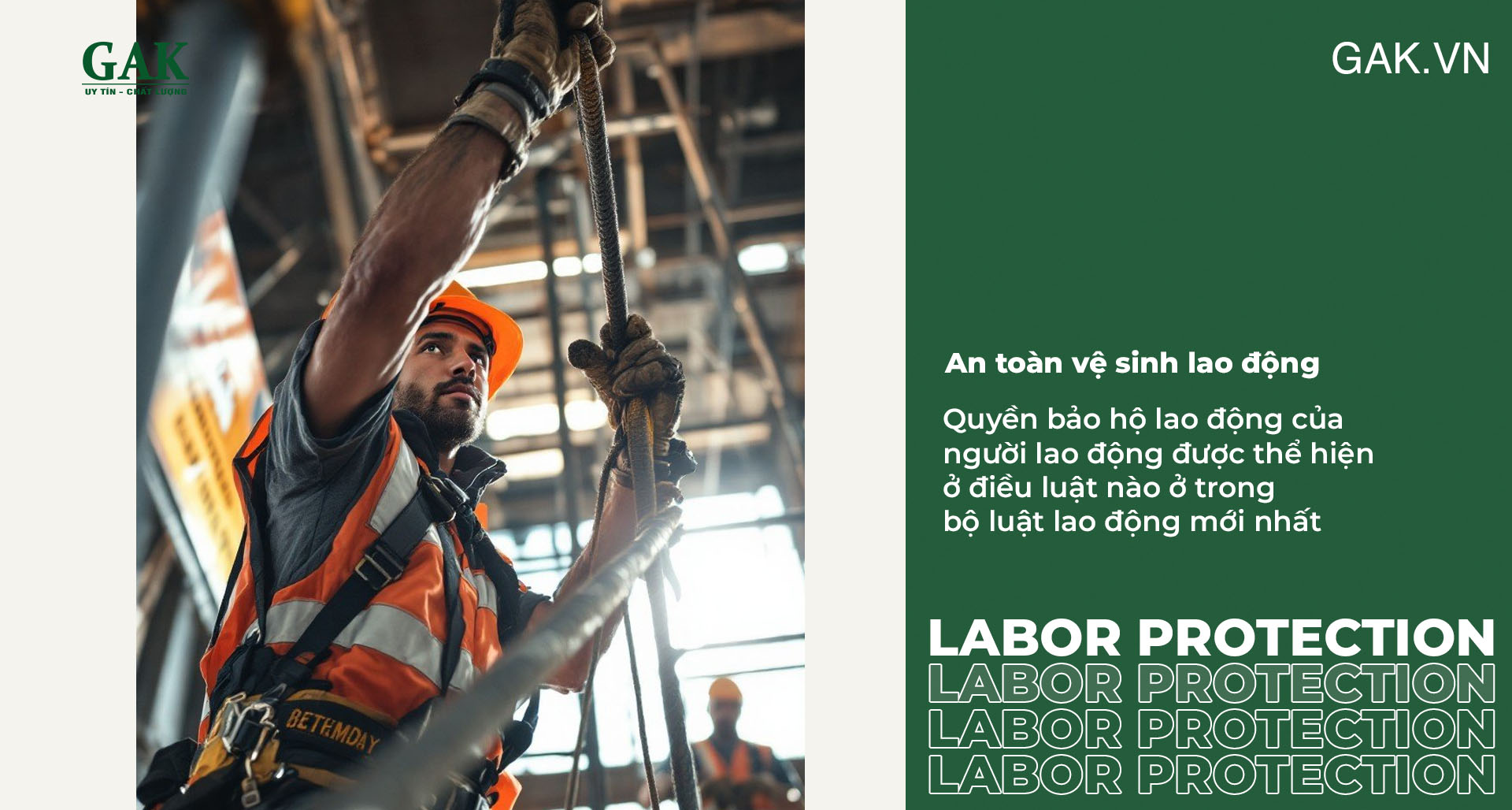 Quyền bảo hộ lao động của người lao động được thể hiện ở điều luật nào ở trong bộ luật lao động mới nhất
