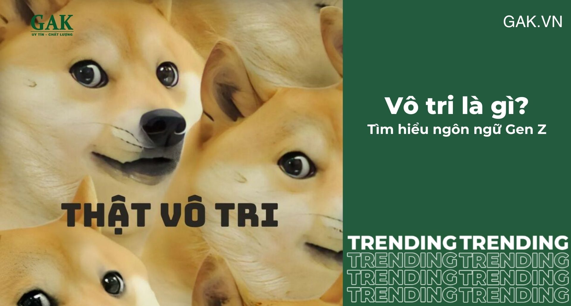 Tìm hiểu ngôn ngữ Gen Z - Vô tri là gì?