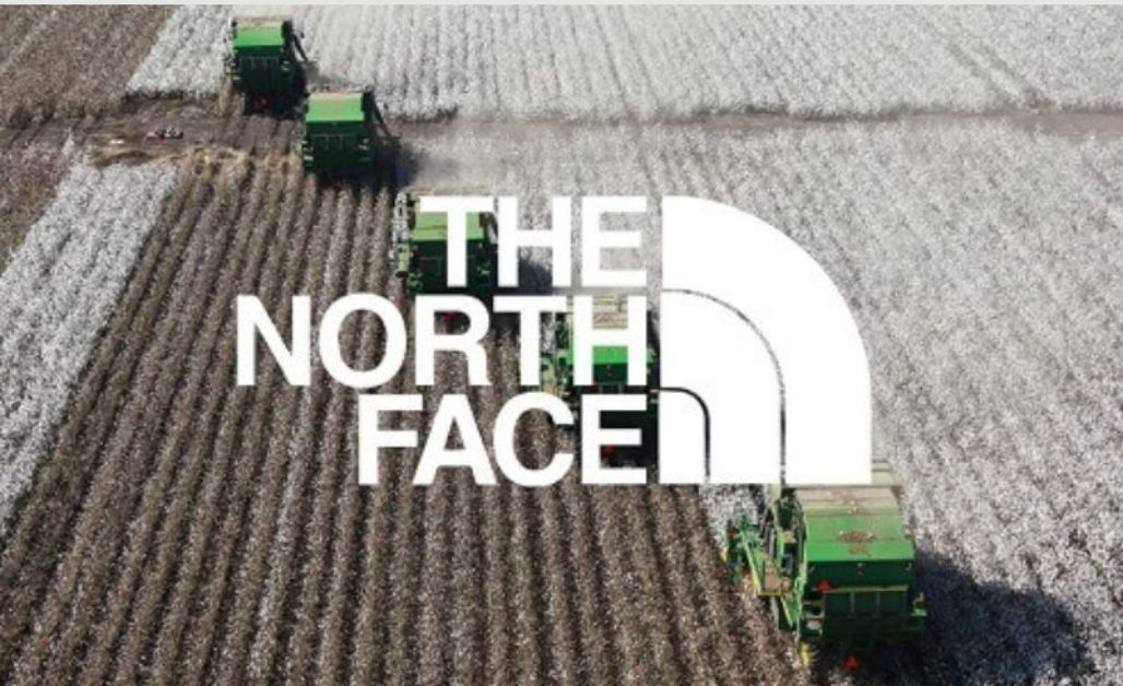 he North Face  Là thương hiệu thời trang ngoài trời nổi tiếng sử dụng cotton tái sinh trong nhiều bộ sưu tập
