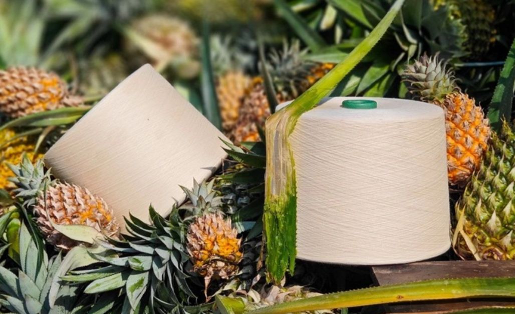 Vải dứa còn gọi là Piñađã có lịch sử lâu đời tại Philippines, nổi tiếng với sự thanh lịch và thoáng mát.